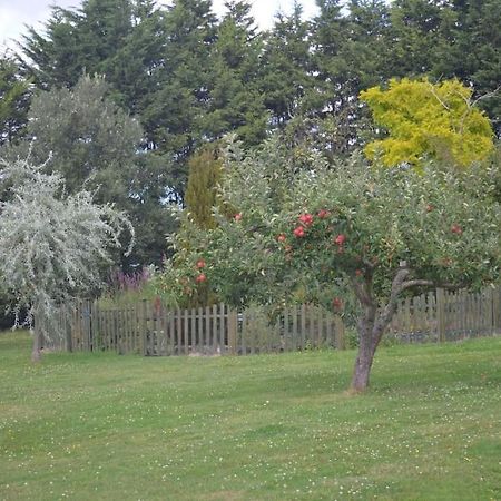 The Willow Studio - Peaceful Retreat Near Whitstable Seaside フェイバーシャム エクステリア 写真
