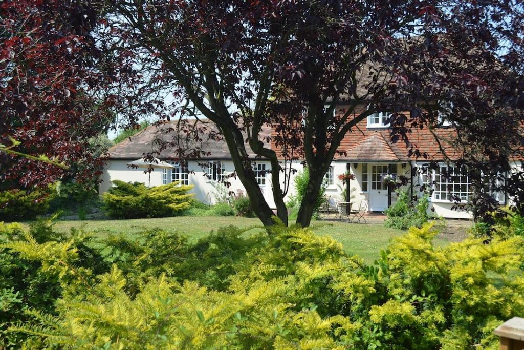 The Willow Studio - Peaceful Retreat Near Whitstable Seaside フェイバーシャム エクステリア 写真